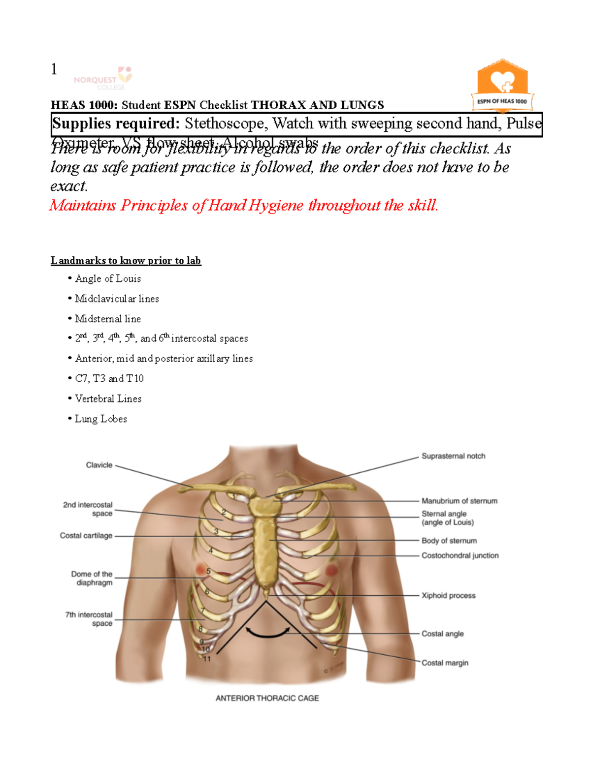 Student HEAS 1000 ESPN Thorax and Lung Assessment Checklist V1 - 1 HEAS ...
