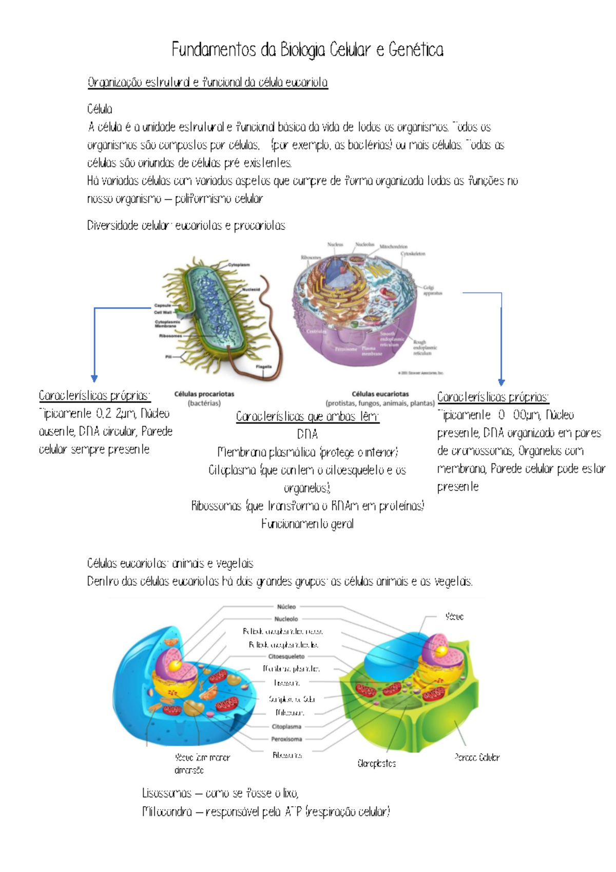 Fundamentos Biológicos: Célula I - 2ª Frequência e Organelos - Studocu