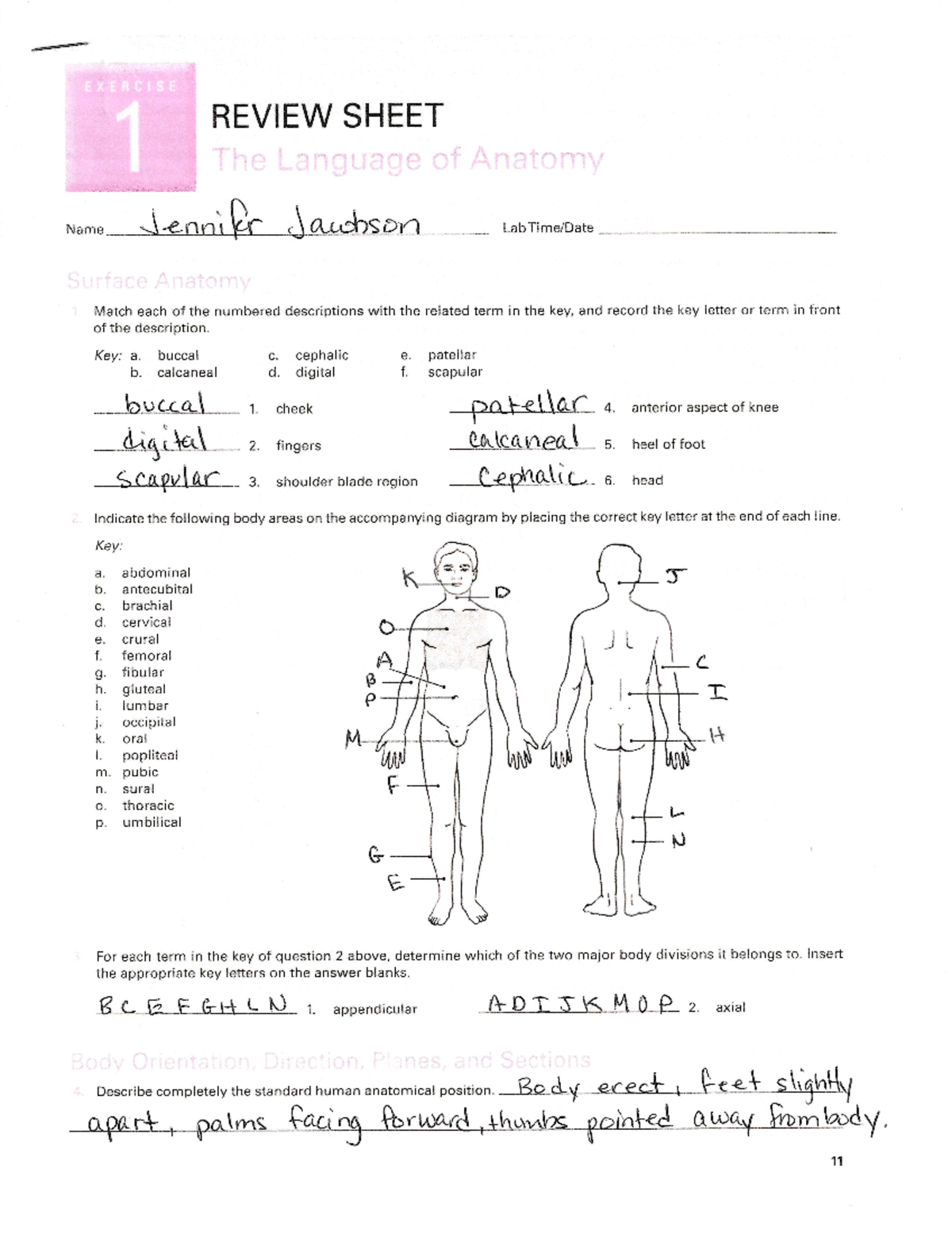 Lab Exercise 1: Introductory Lab Assignment Guide - Studocu