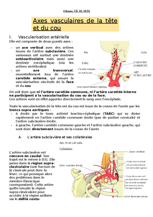 Vascularisation Tête et Cou - UE 10 Anatomie Vasculaire et