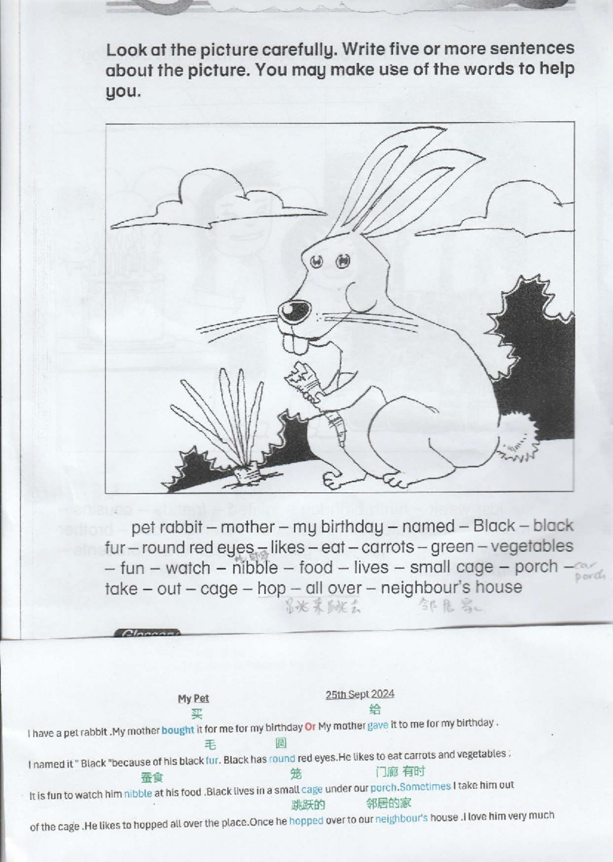 My Rabbit - MYPet Essay Notes - Studocu