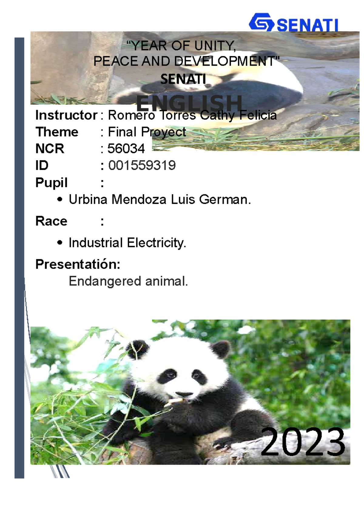 Final Project - Endangered Animals: Panda Bear - NCR 56034 - Studocu
