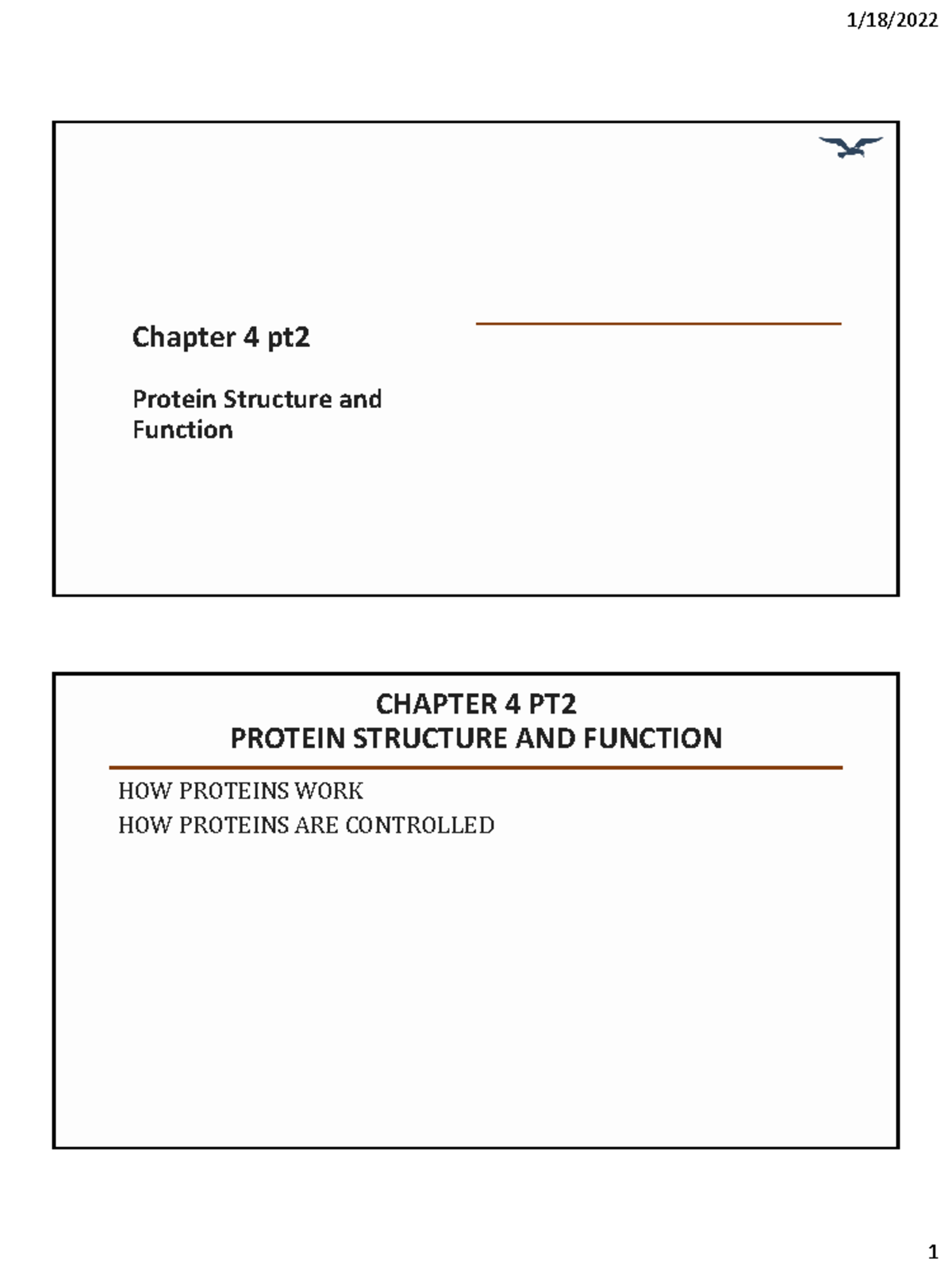 Essential Cell Biology: Chapter 4 Part 2 - Protein Structure & Function ...