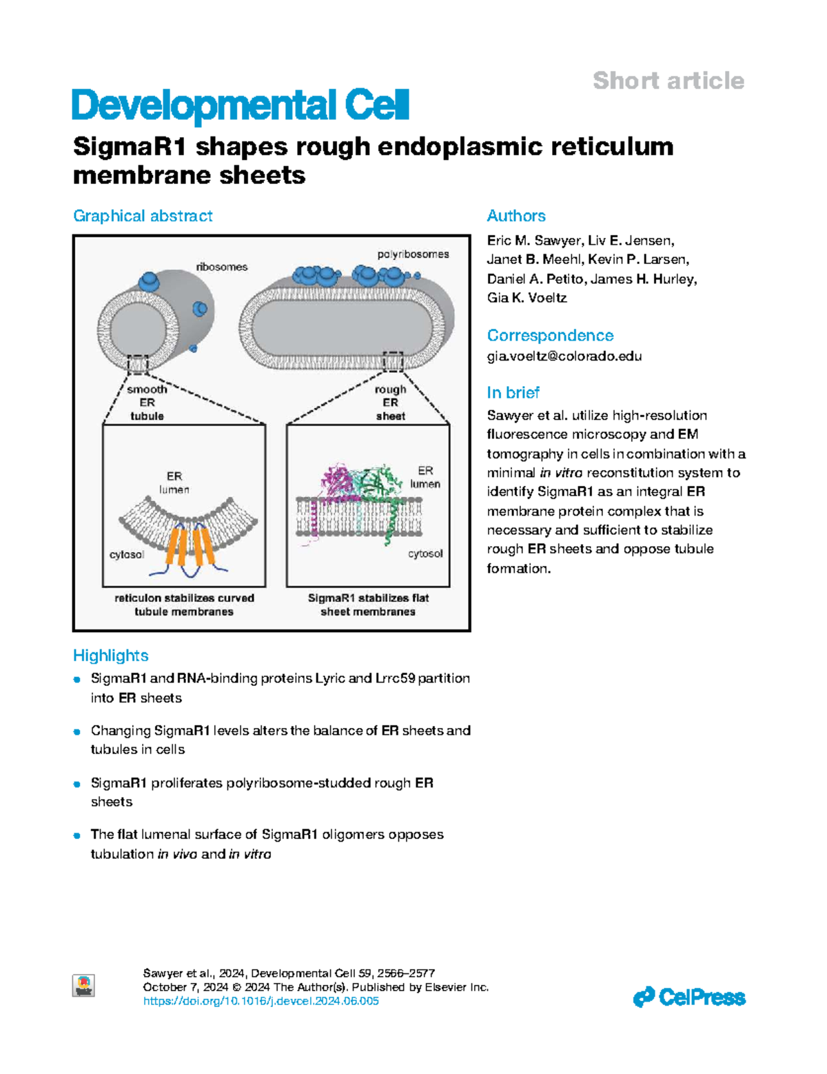 SigmaR1's Role in Shaping Rough ER Membrane Sheets - Dev Cell 59 - Studocu