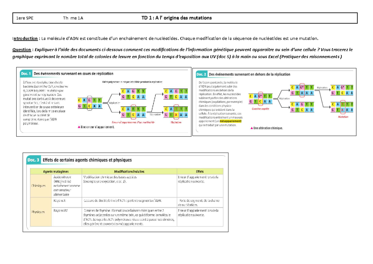 1e SPE Thème 1A TD 1 : Origine des Mutations et Effets des UV - Studocu