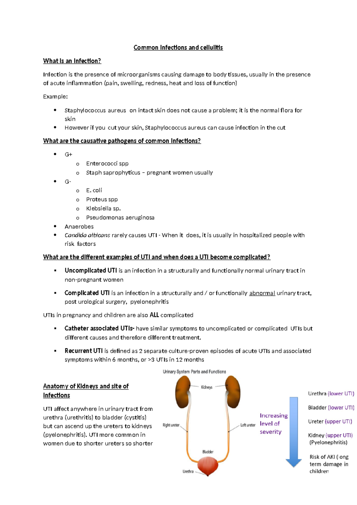 Infections and Cellulitis: Key Concepts and Pathogens Analysis - Studocu