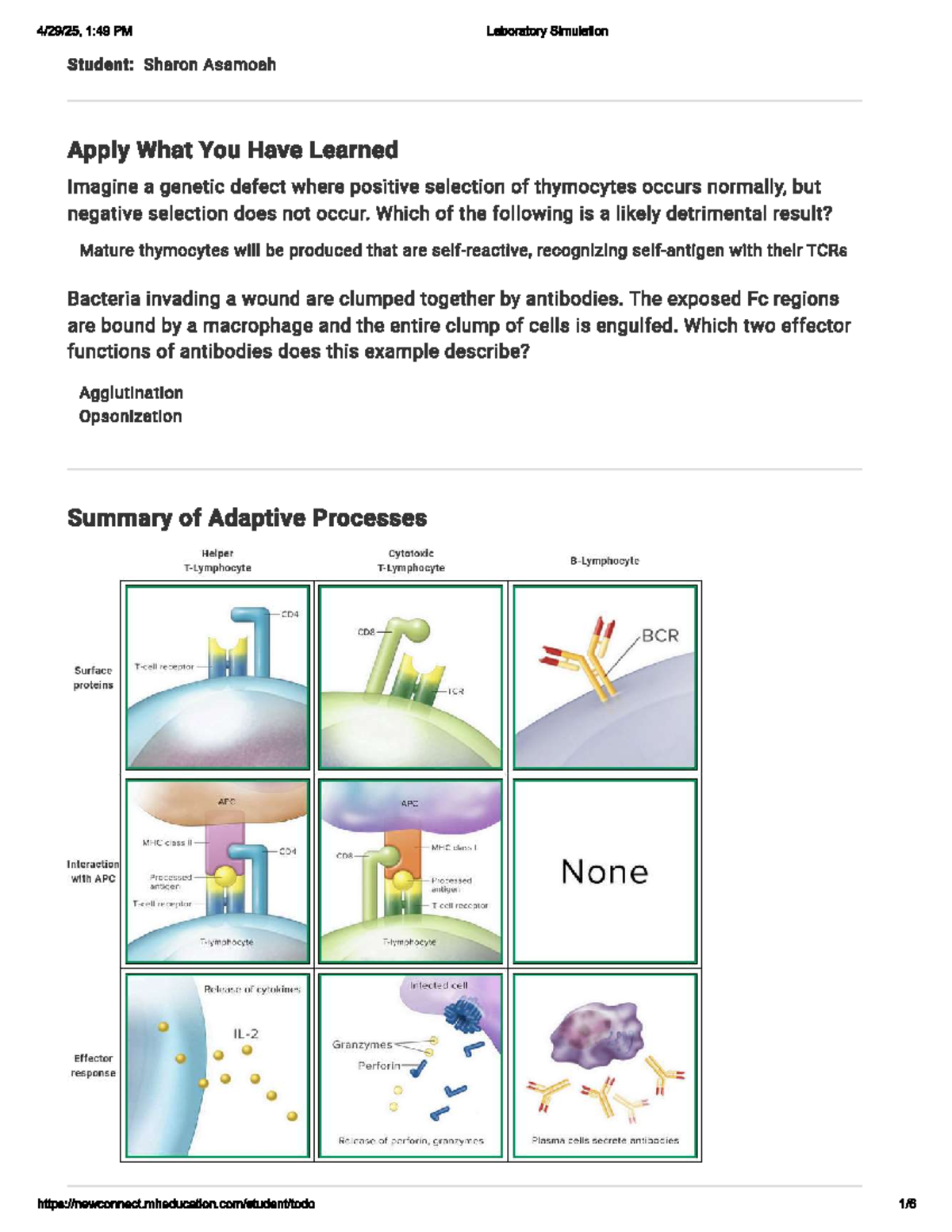 Adaptive Immunity: Concept Overview & Laboratory Simulation (1:49 PM ...
