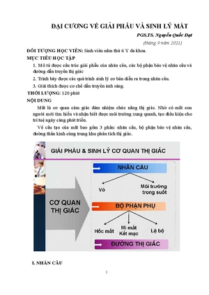 SÁCH NHÃN KHOA ĐỖ NHƯ HƠN GỒM BA TẬP VỚI HƠN 1500 TRANG NỘI DUNG CHUYÊN SÂU