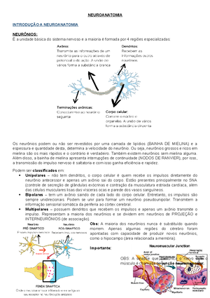 fases do puerpério, dequitação e loquiação. Hemorragia puerperal e ...
