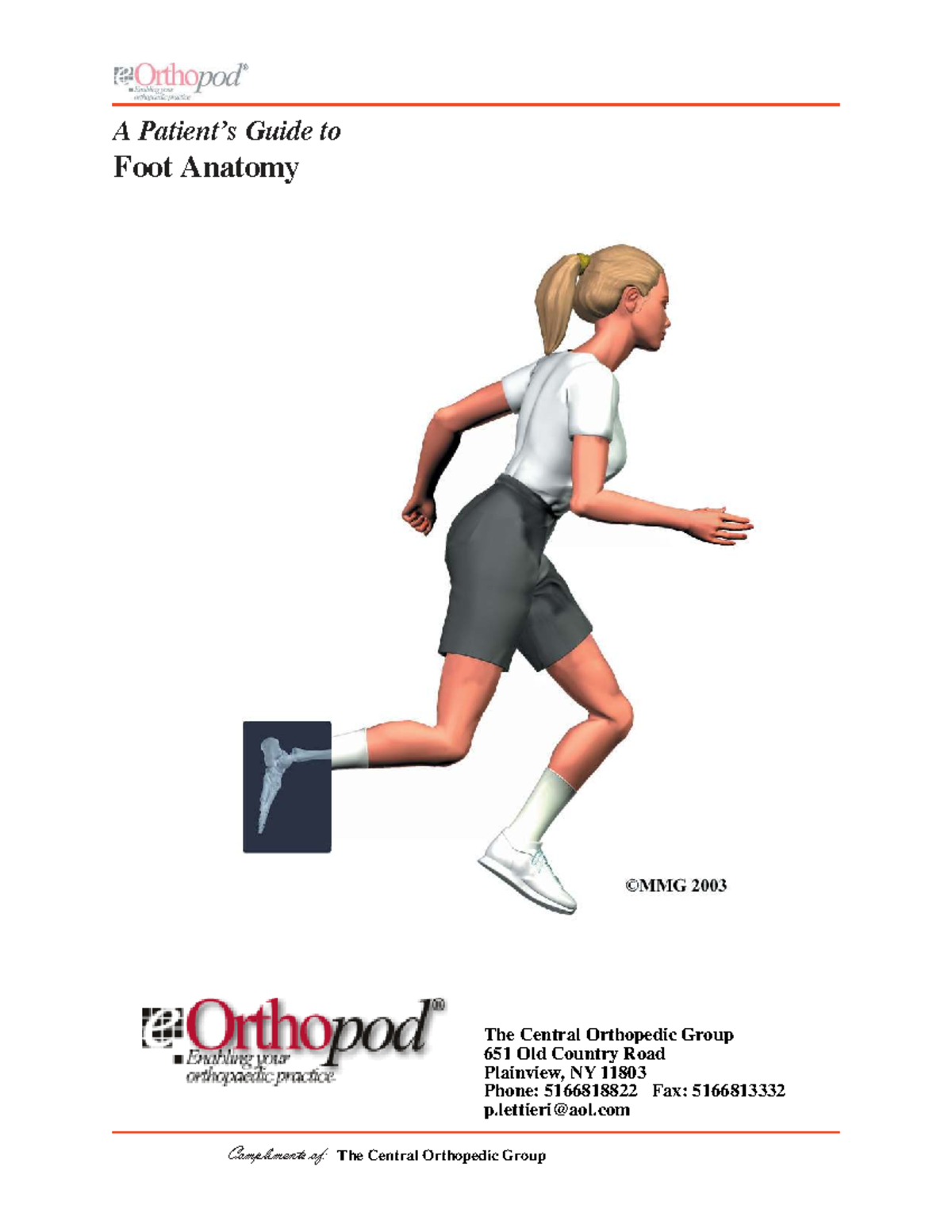 Foot Anatomy Overview: A Comprehensive Guide by The Central Orthopedic ...