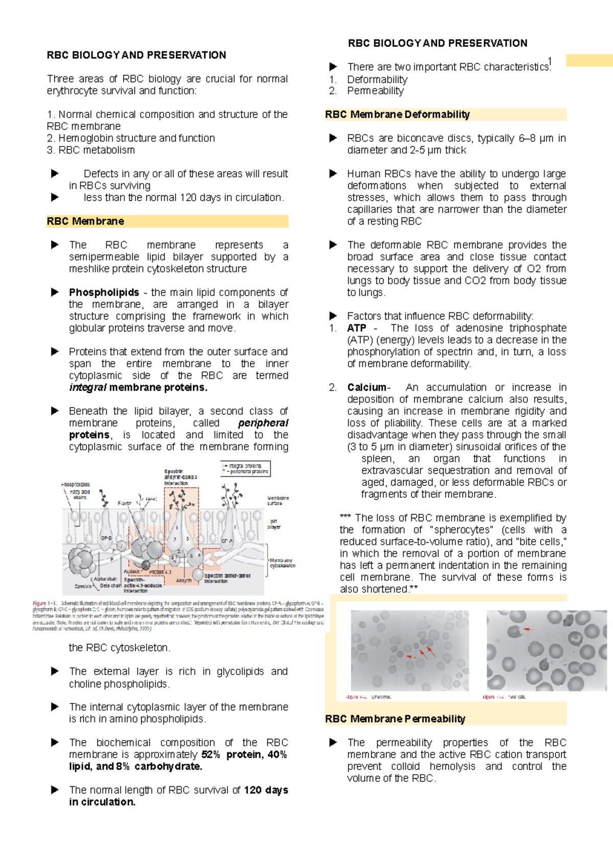 RBC Biology & Preservation: Key Concepts for Course RBC101 - Studocu