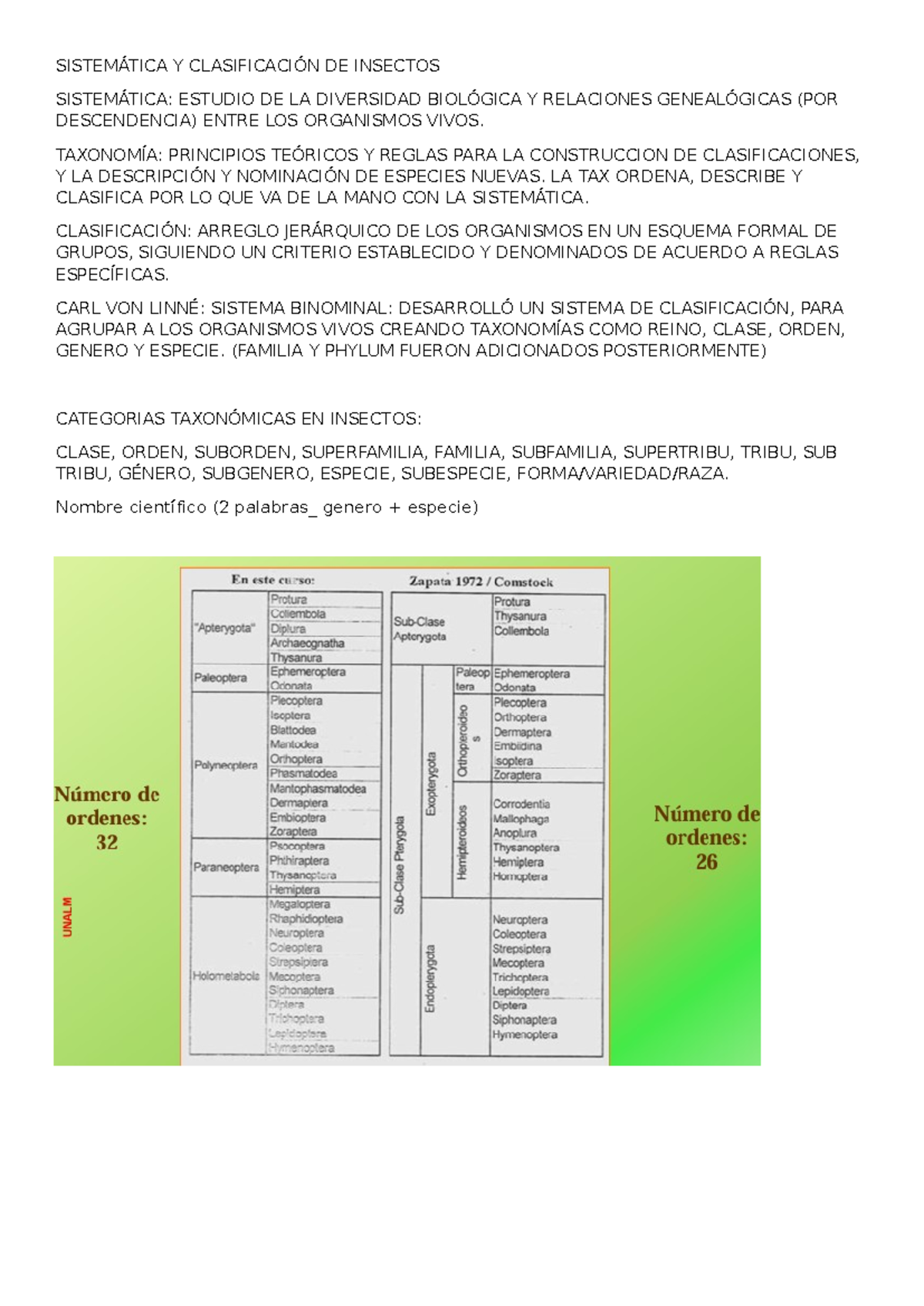 Taxonomía de Insectos: Parte 1 - Fundamentos de Clasificación y ...