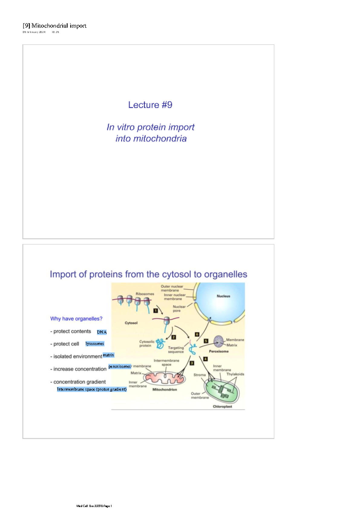 Mitochondrial Import Mechanisms - Med Cell Bio 3329B Insights - Studocu