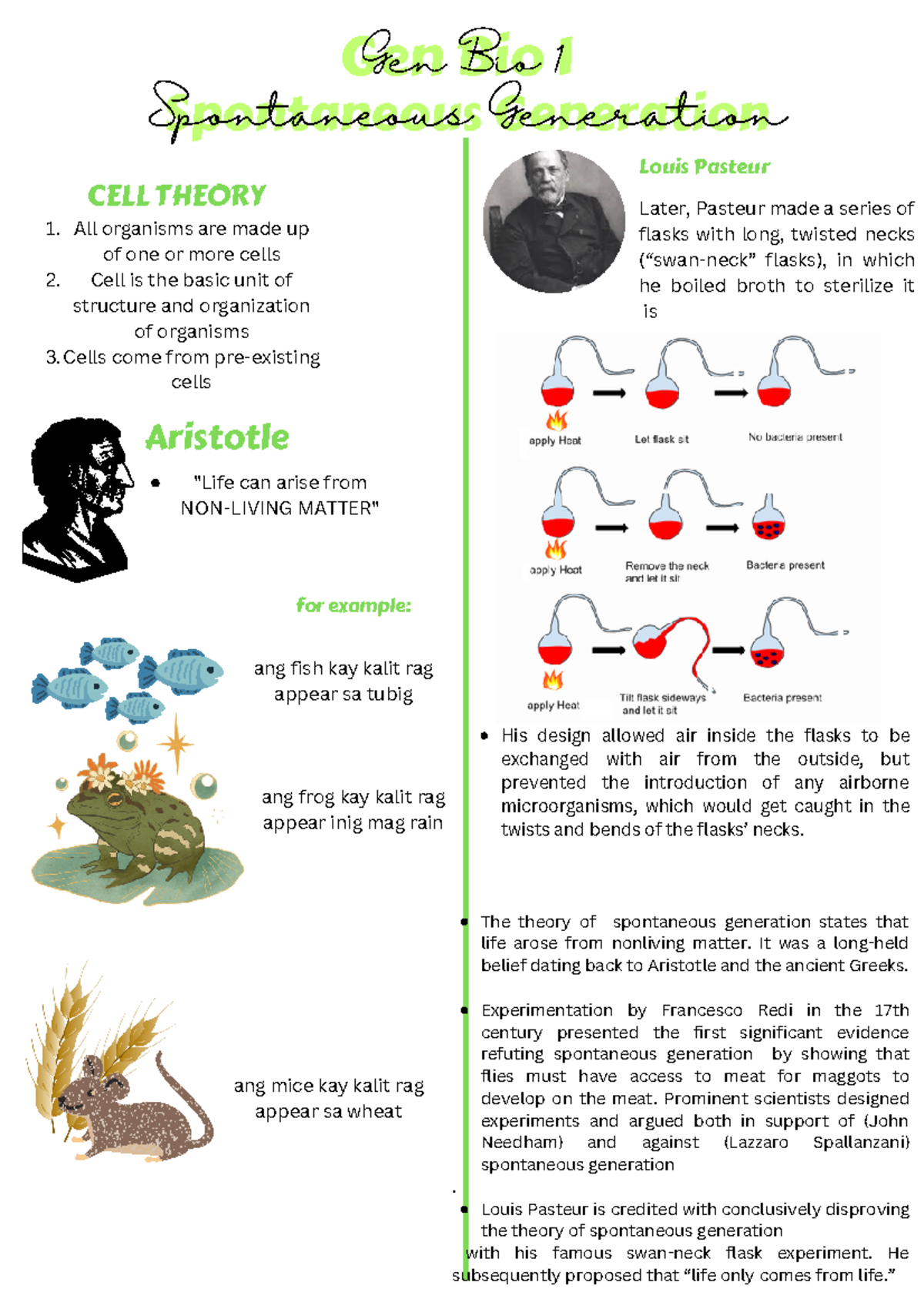 Gen Bio 1: Understanding Spontaneous Generation and Cell Theory - Studocu