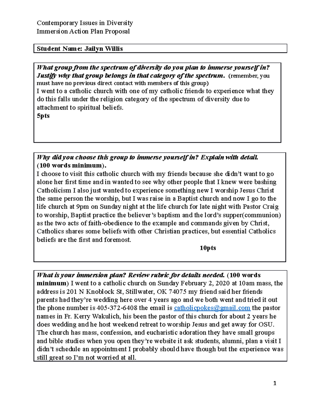 Immersion Proposal - doing new things - Immersion Action Plan Proposal ...