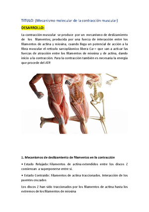 Reflejo tusigeno - Título: Análisis Detallado del Reflejo Tusígeno ...