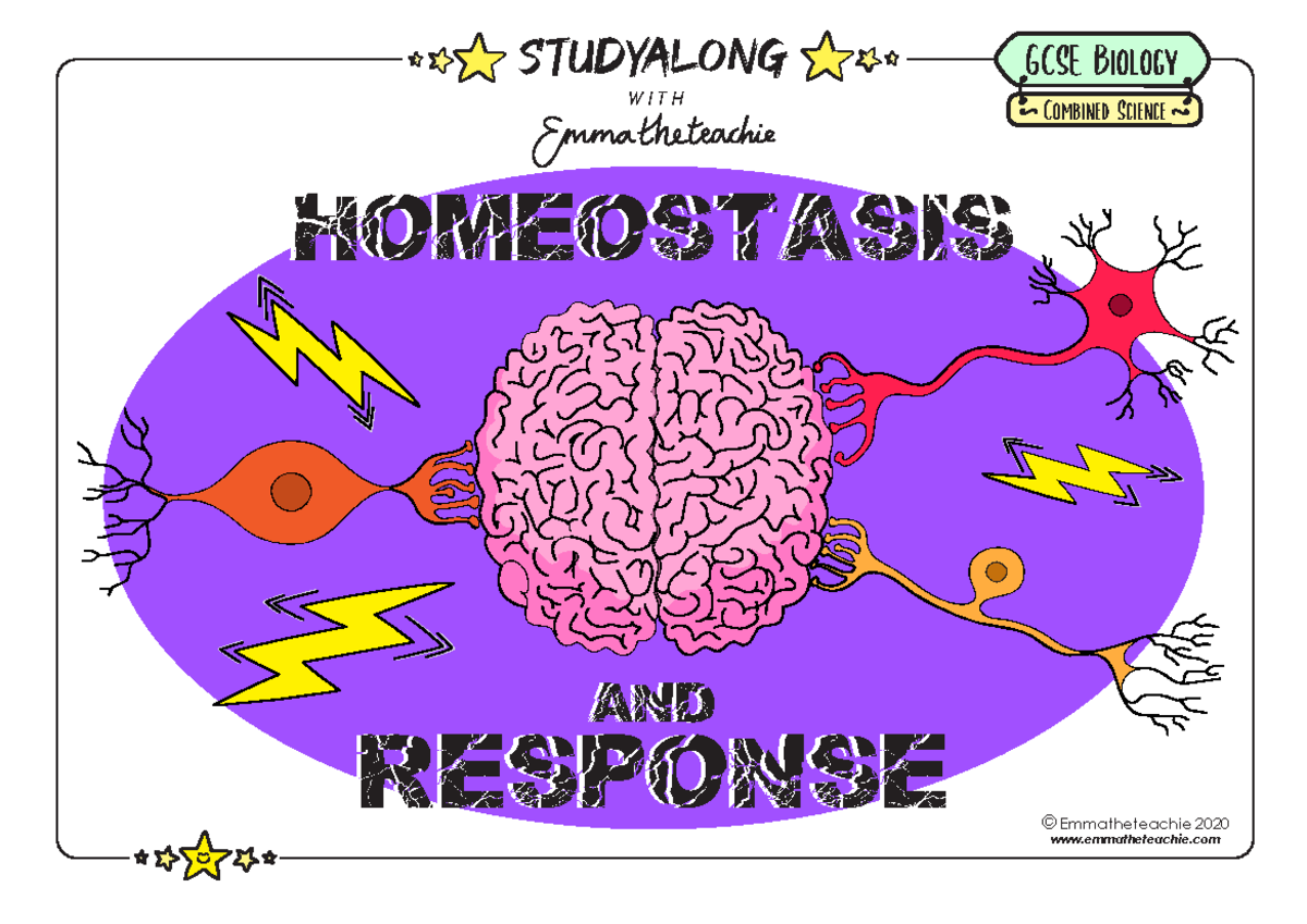 Studyalong Workbook Topic 5 Homeostasis and Response Colour Version ...