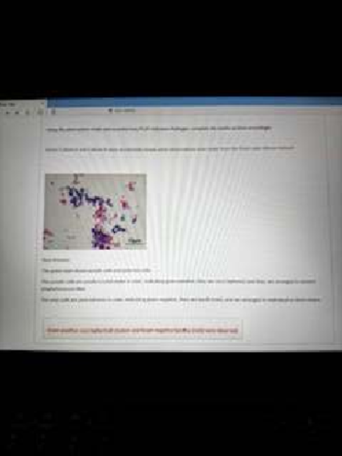 BIOD 171 Microbiology Lab Notebooks Overview (Labs 1-5) - Studocu