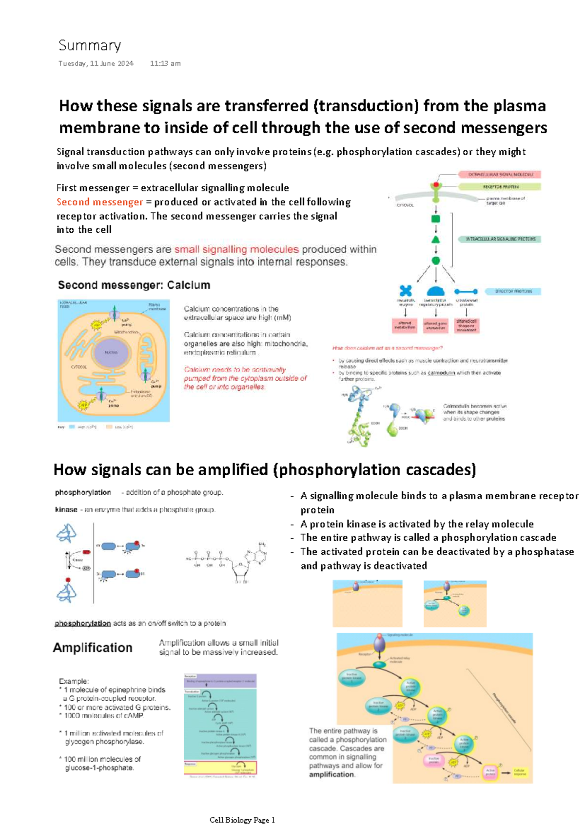 Cell Biology - Cell Signaling: Signal Transduction Pathways - Studocu