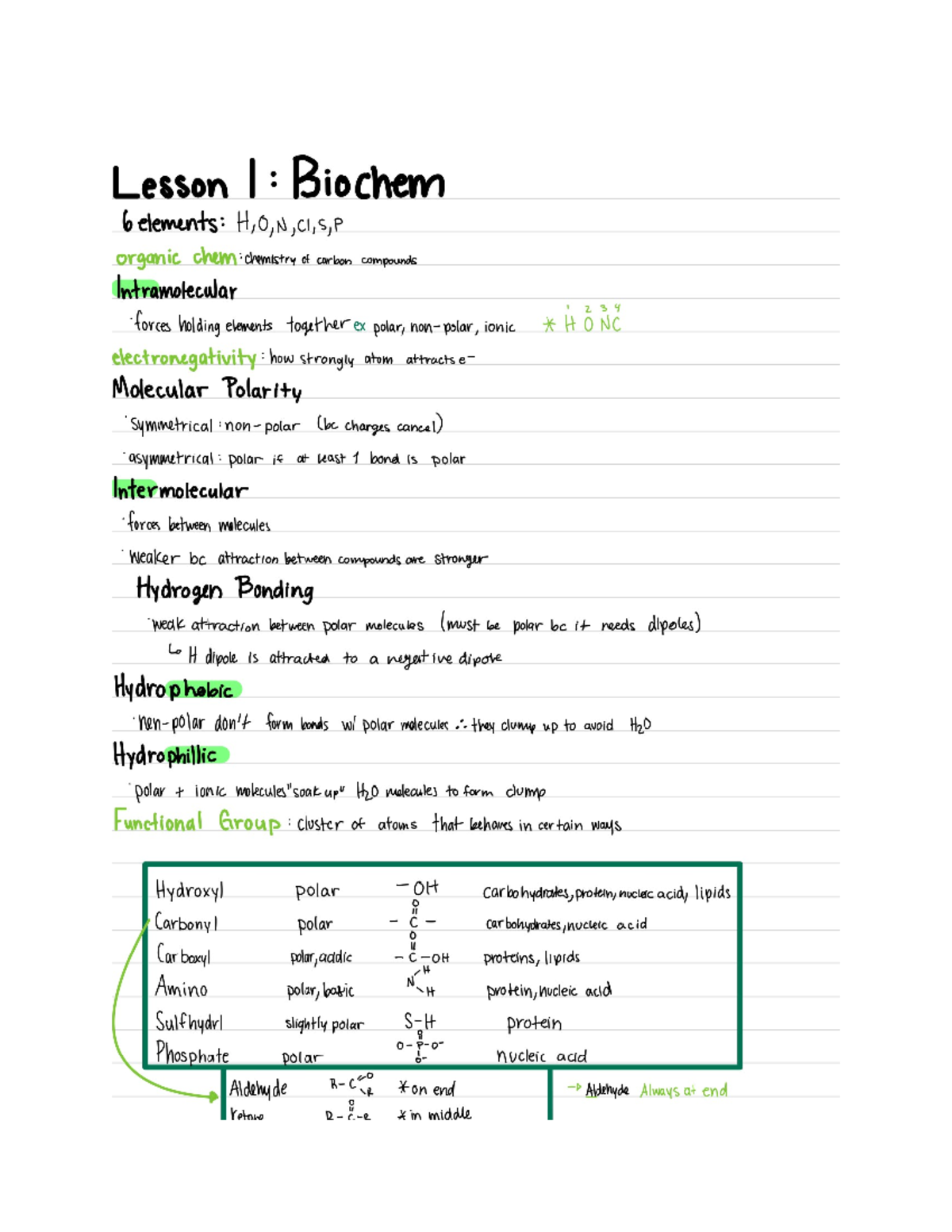 Biochem - Studocu