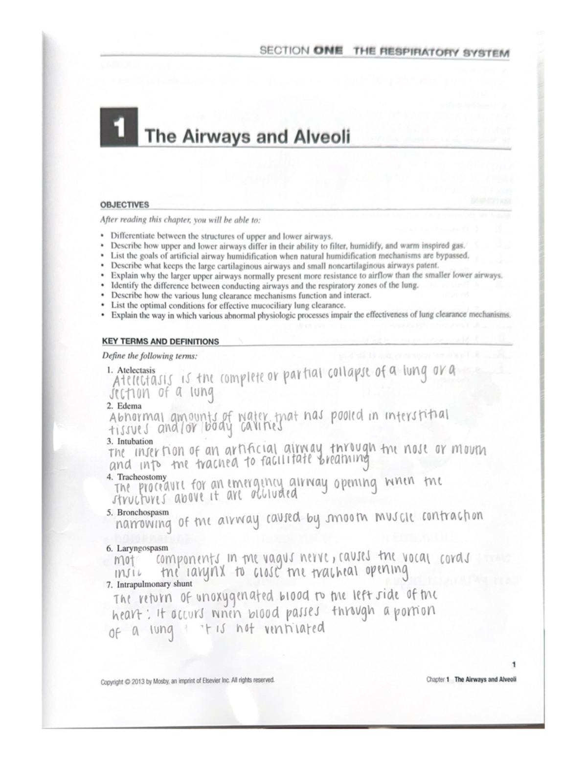 Beachey Ch. 1 Workbook - Kailey Ward Study Notes - Studocu