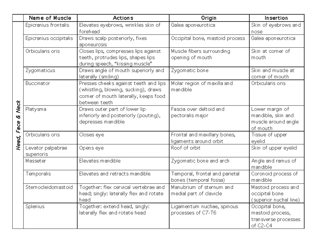 ALL Muscles OF THE BODY - Name of Muscle Actions Origin Insertion He ad ...