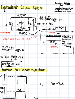 Understanding the Equivalent Circuit Model in Neurotransmission ...