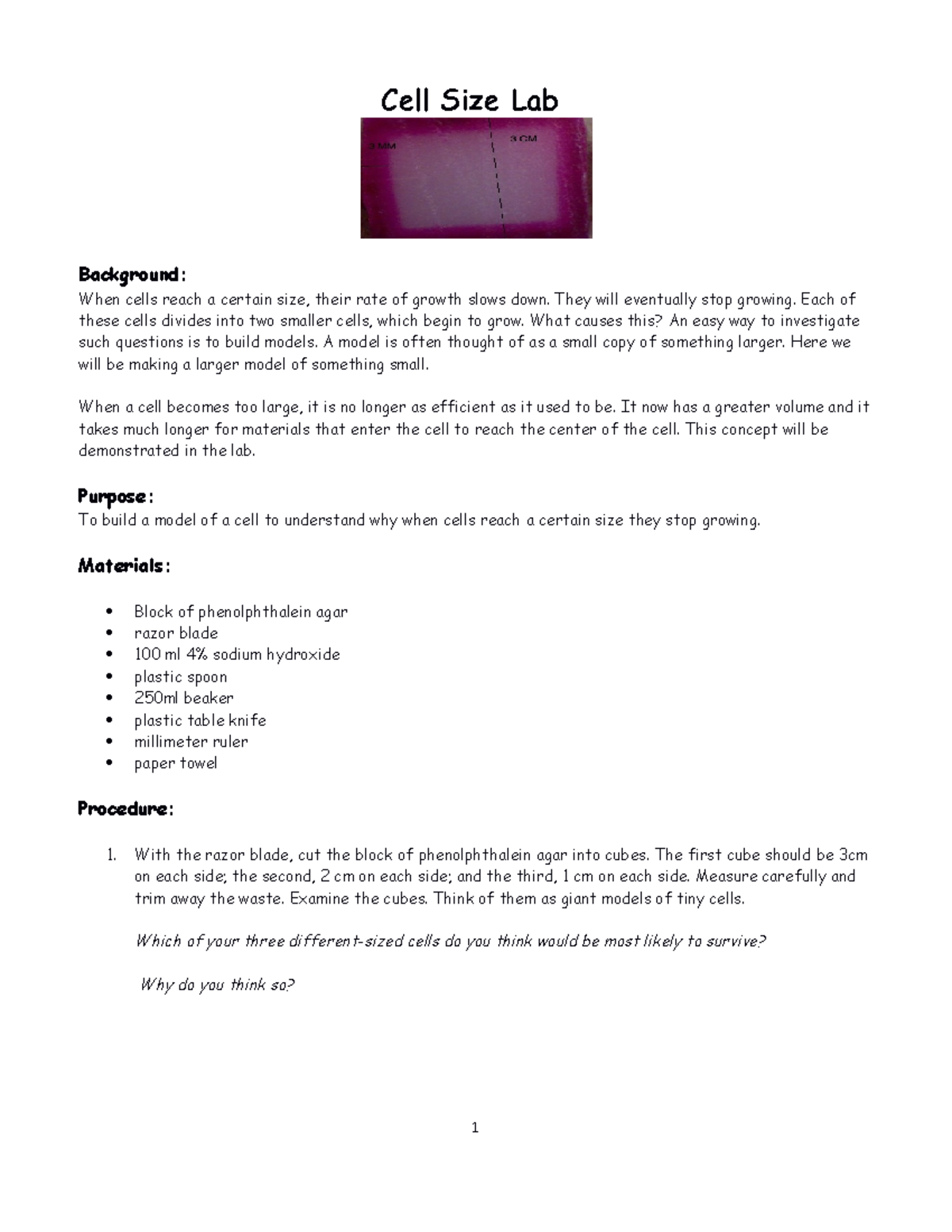 Cell Size Lab (BIO 101) - Understanding Surface Area and Cell Growth ...