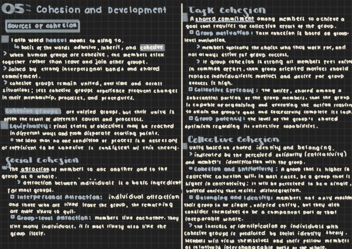 Chapter 5: Cohesion and Development Insights on Group Dynamics - Studocu