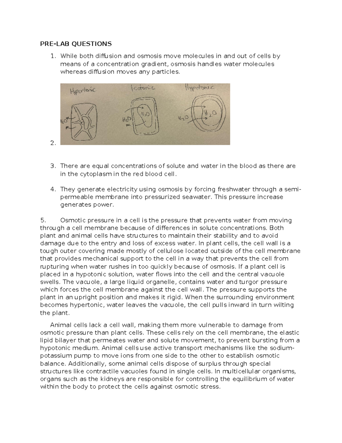 Lab 4 - Pre Lab: Osmosis and Diffusion in Cells (Anatomy & Physiology ...