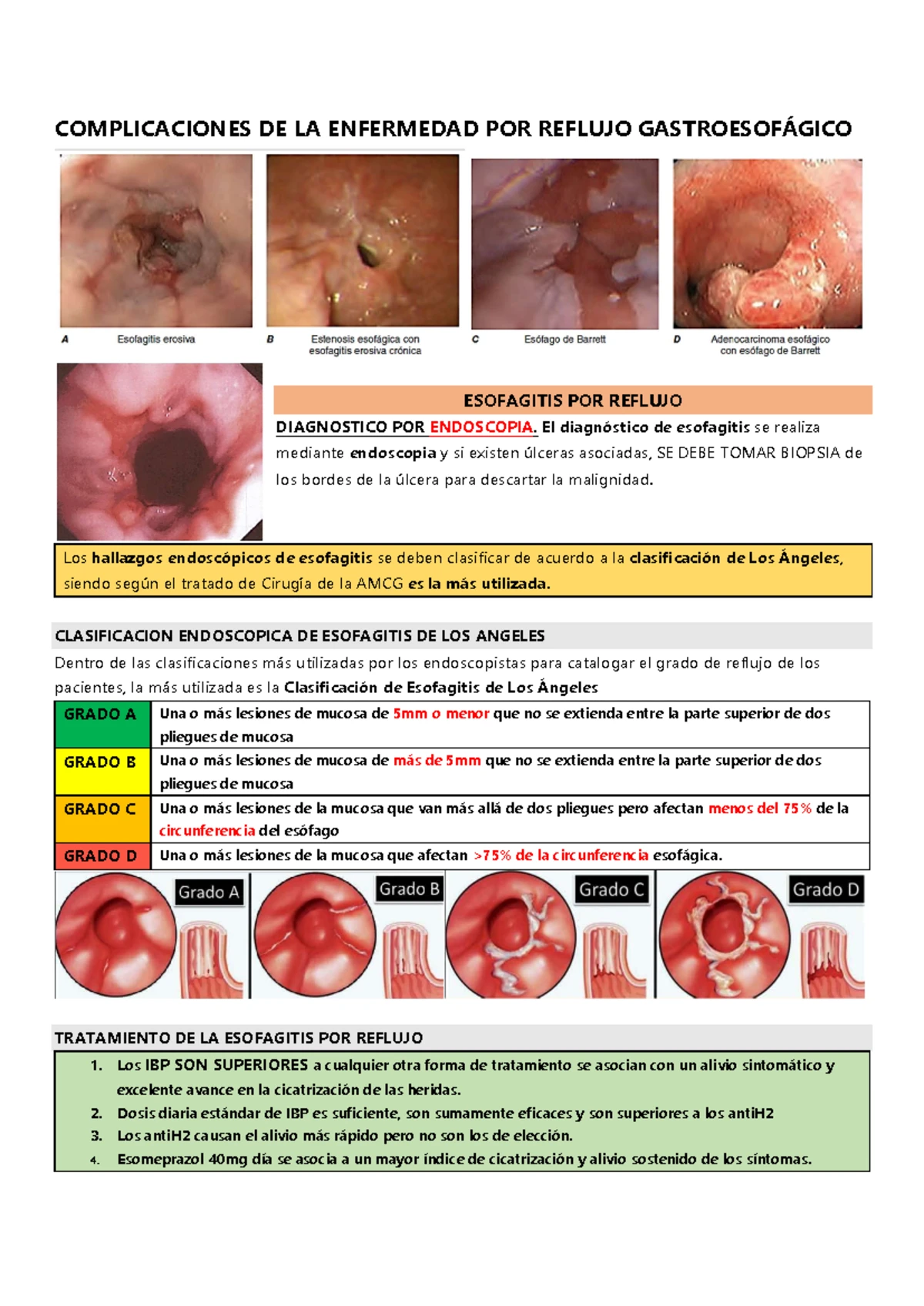 Notas de Estudio: Nefro 1 - Macrovasculopatía Renal y Complicaciones ...
