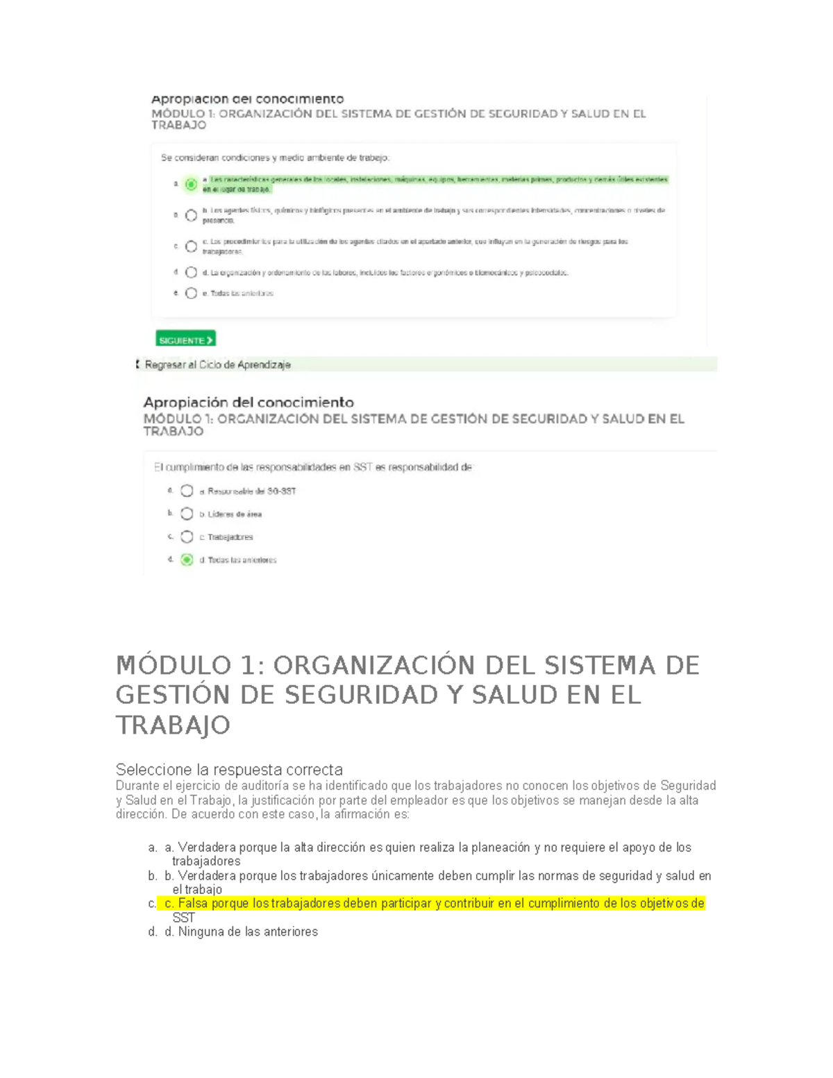 Módulo 1: Gestión de Seguridad y Salud en el Trabajo - Curso 50 horas ...