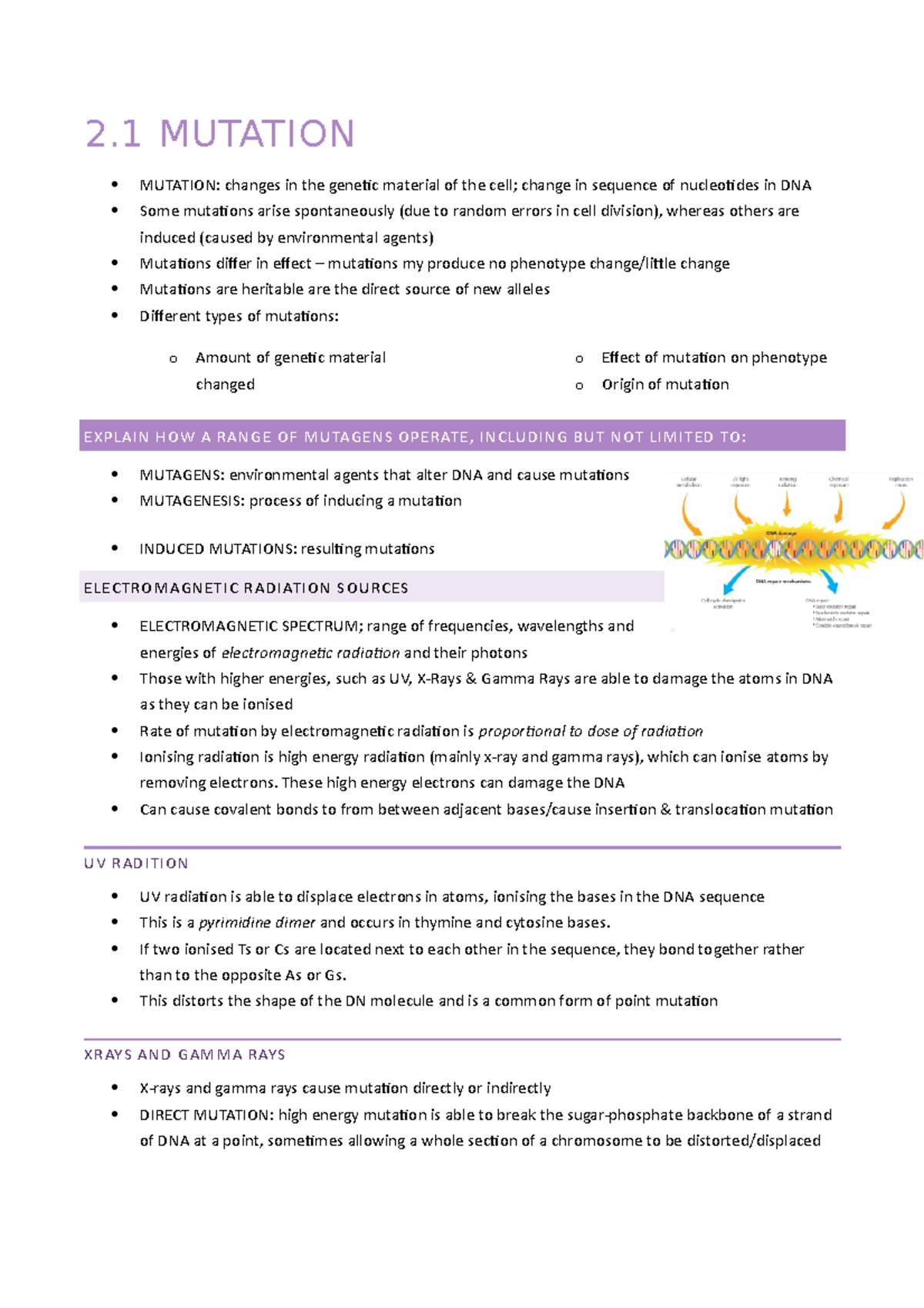 Mutation - Lecture Notes on Genetic Changes and Mutagens - Studocu