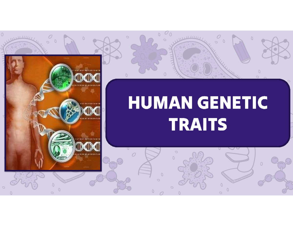HUMAN GENETICS 5 Key Terms Review: Genotype & Phenotype Insights - Studocu