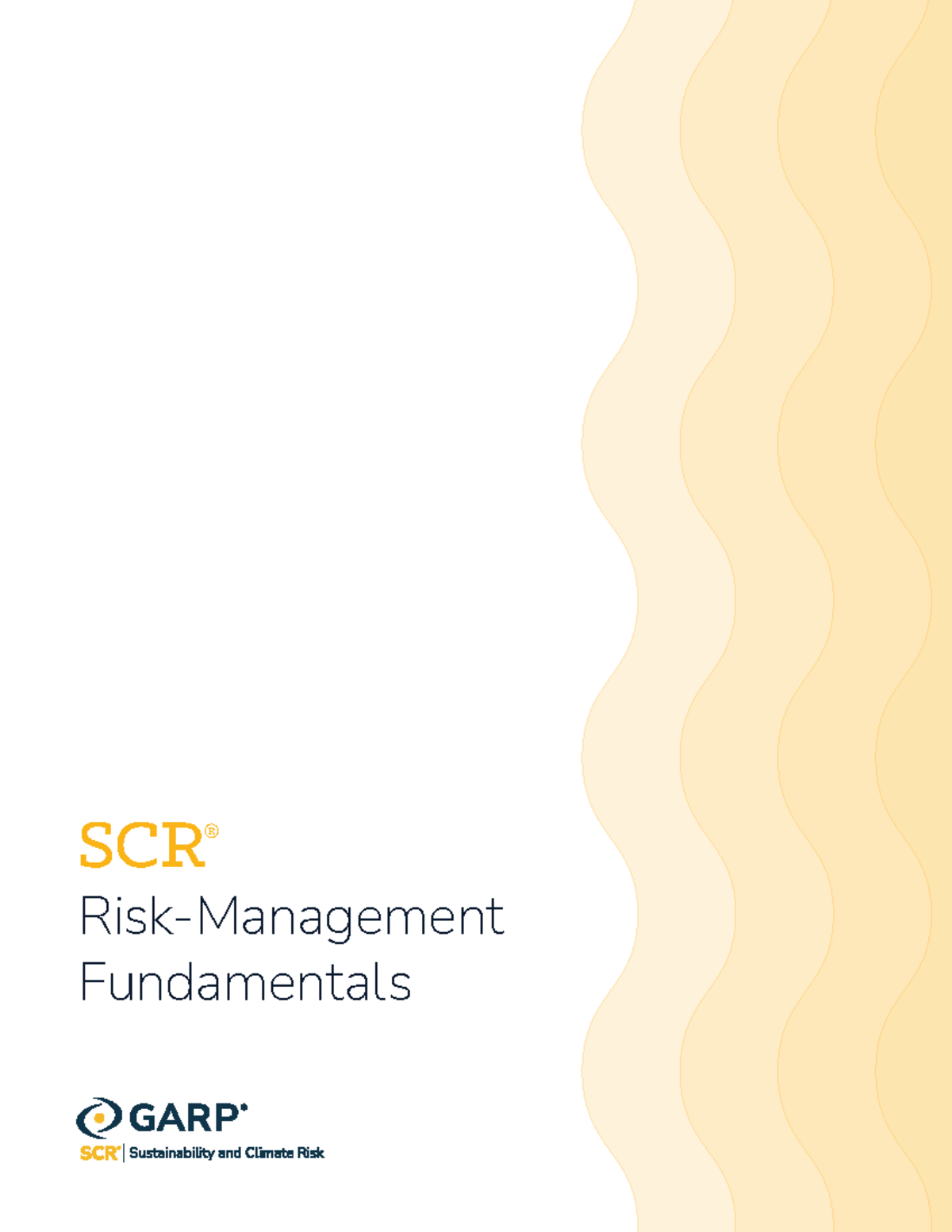 SCR Fundamentals 1: Overview of Risk Management Principles - Studeersnel