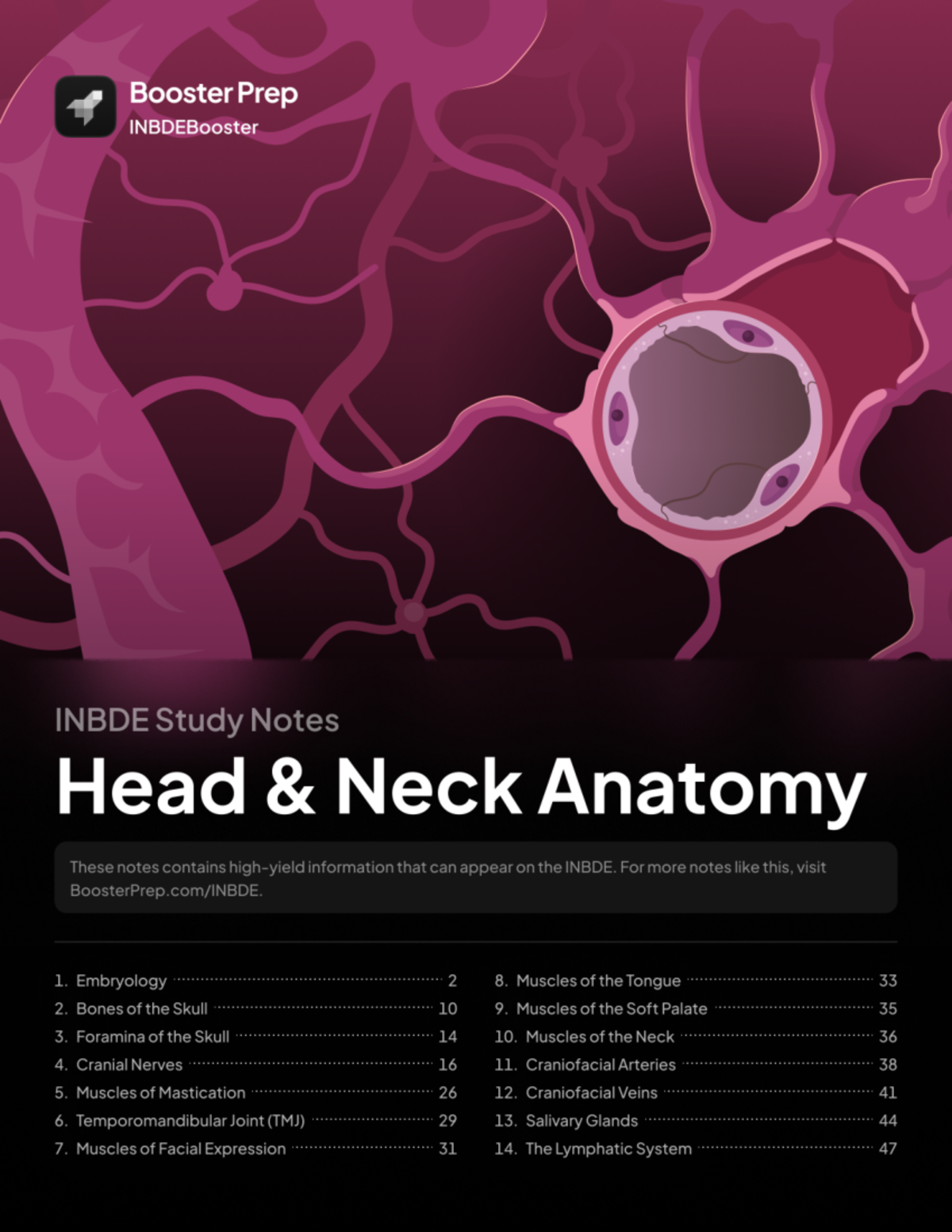 INBDE 2026 Study Notes: Head & Neck Anatomy Overview - Studocu