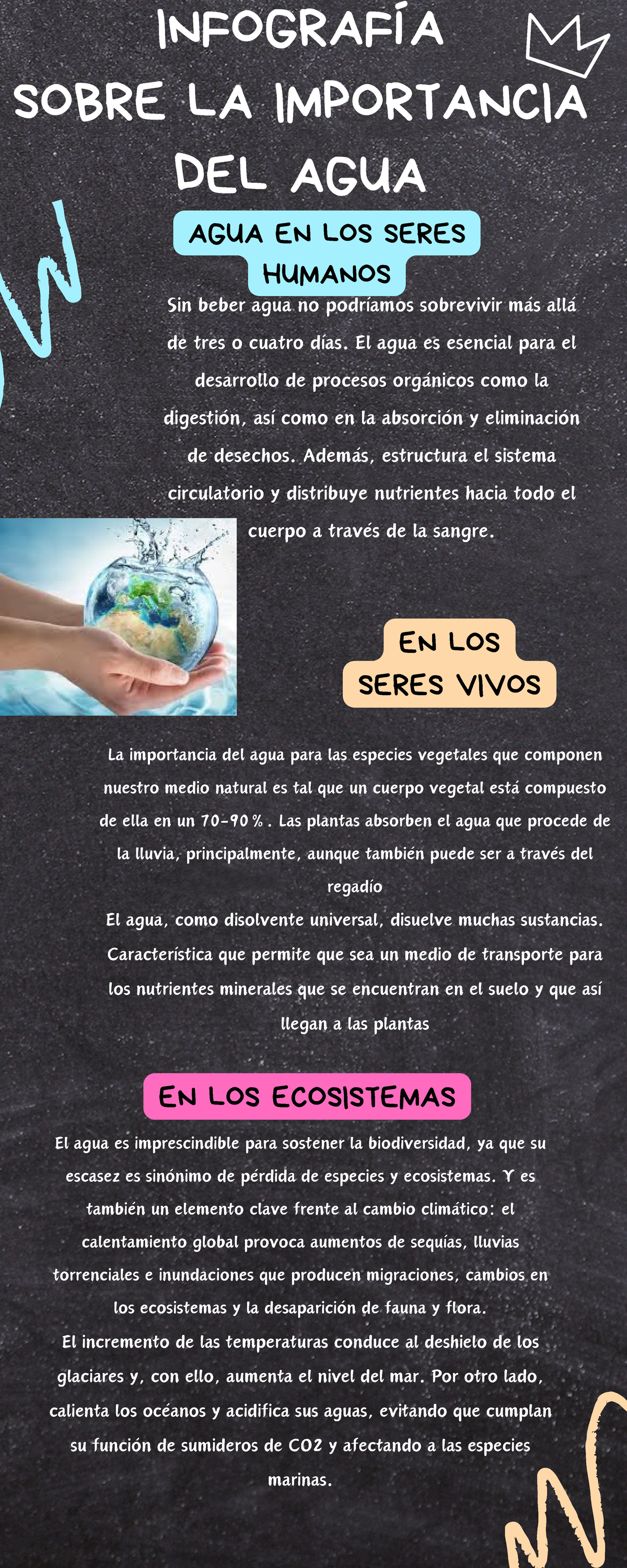 Infografía sobre los Beneficios del Agua en Ecosistemas y Humanos - Studocu
