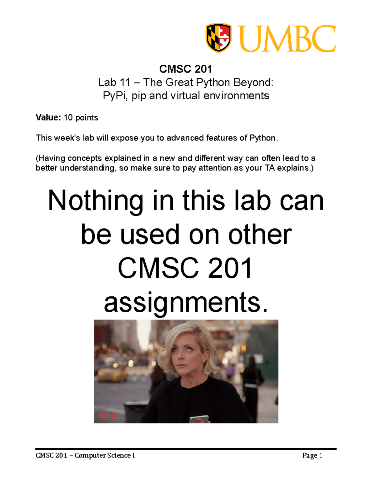CMSC 201 - Lab 11 - Exploring PyPi and Virtual Environments (Fall 23 ...