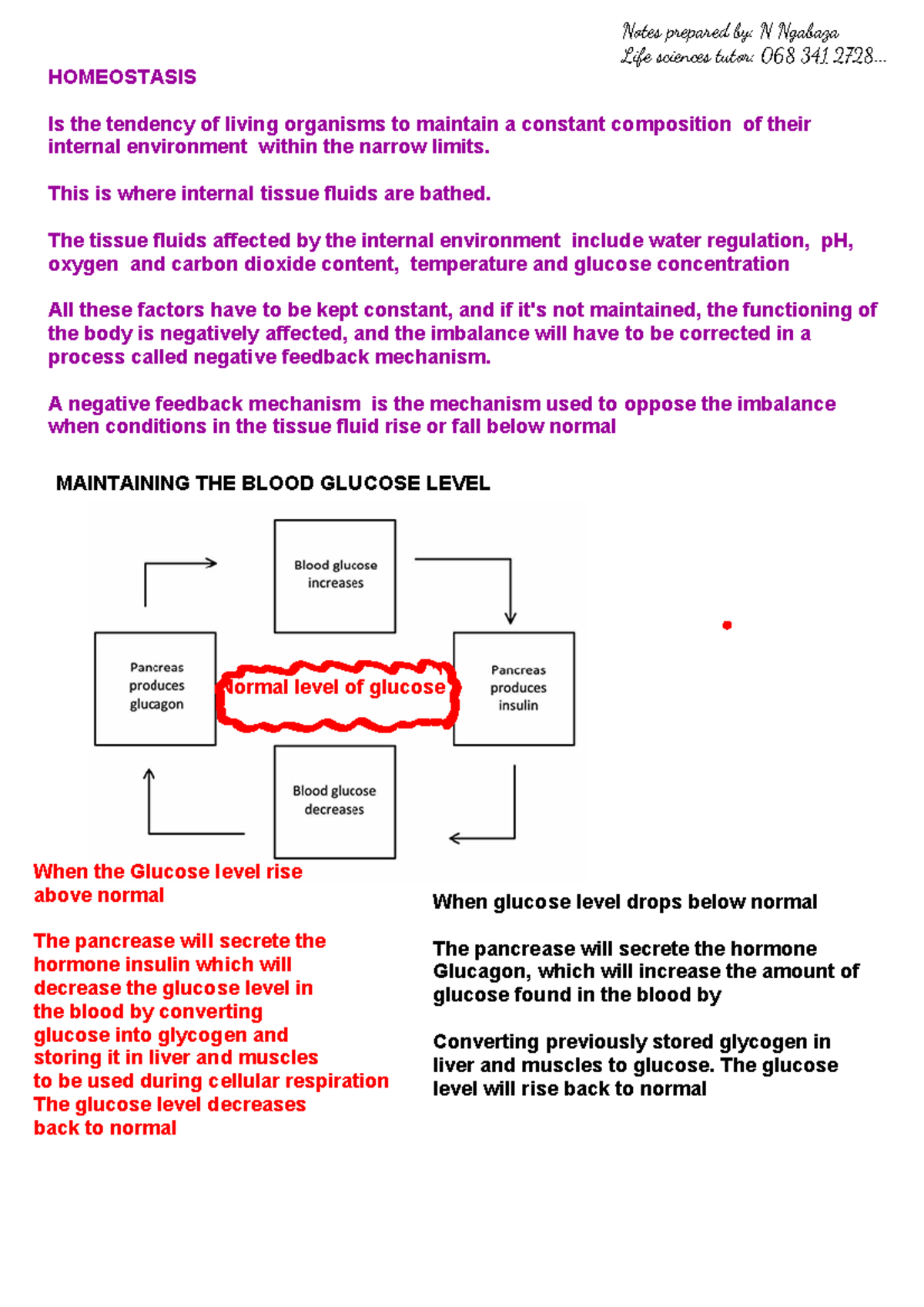 Homeostasis in Living Organisms: GR12 Study Notes - Studocu