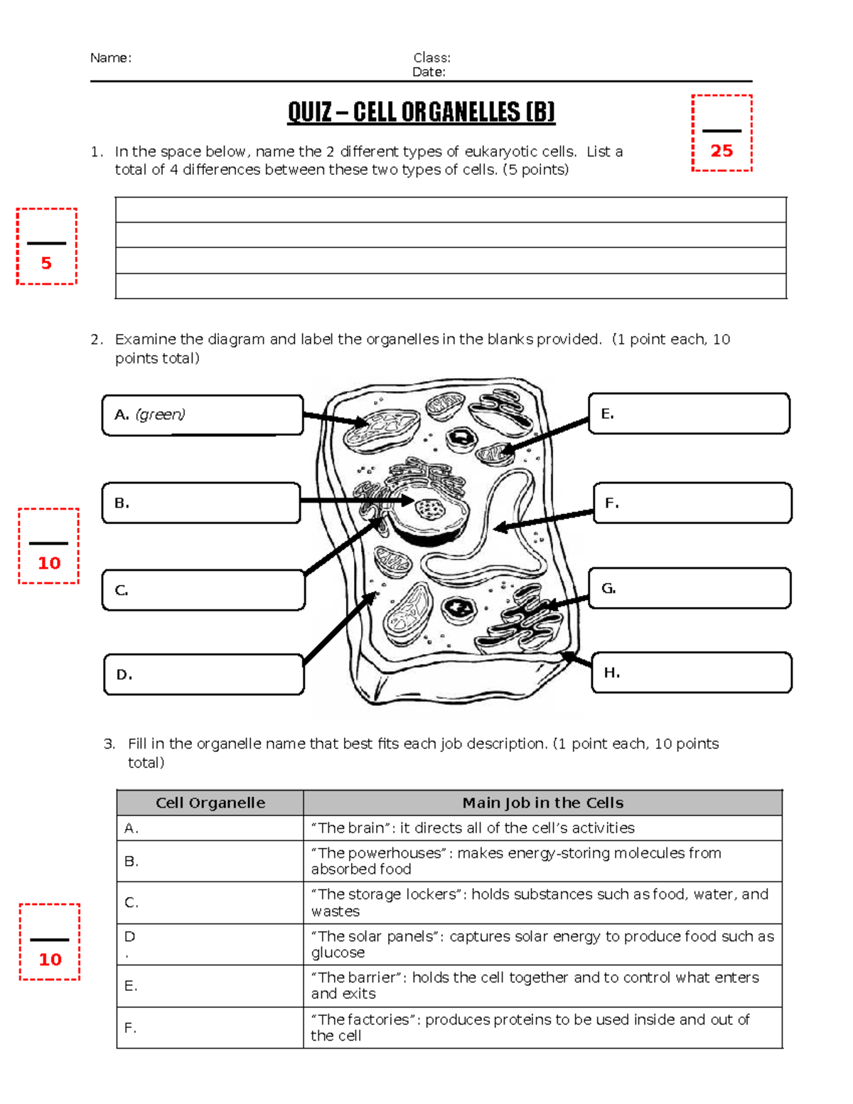 Human Biology Cells Quiz