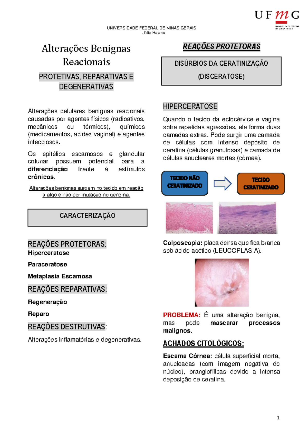 Alterações Benignas Reacionais no Colo do Útero - Resumo de Citologia ...