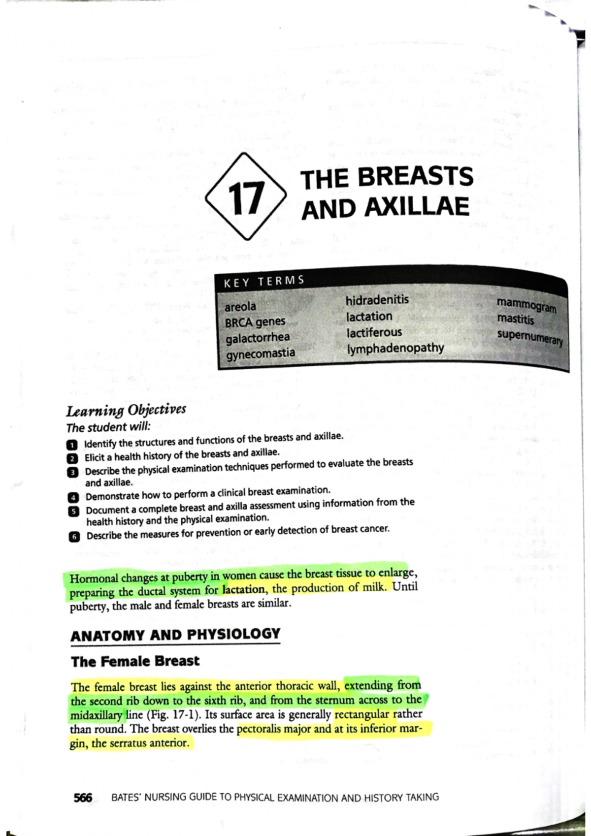 Chapter 17: Overview of the Breasts and Axillae - Studocu
