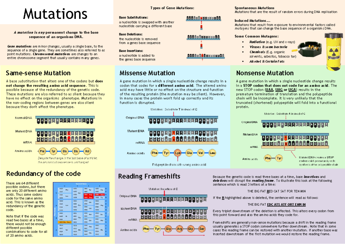Mutation Notes for Gene Expression Level 2 NCEA - Studocu