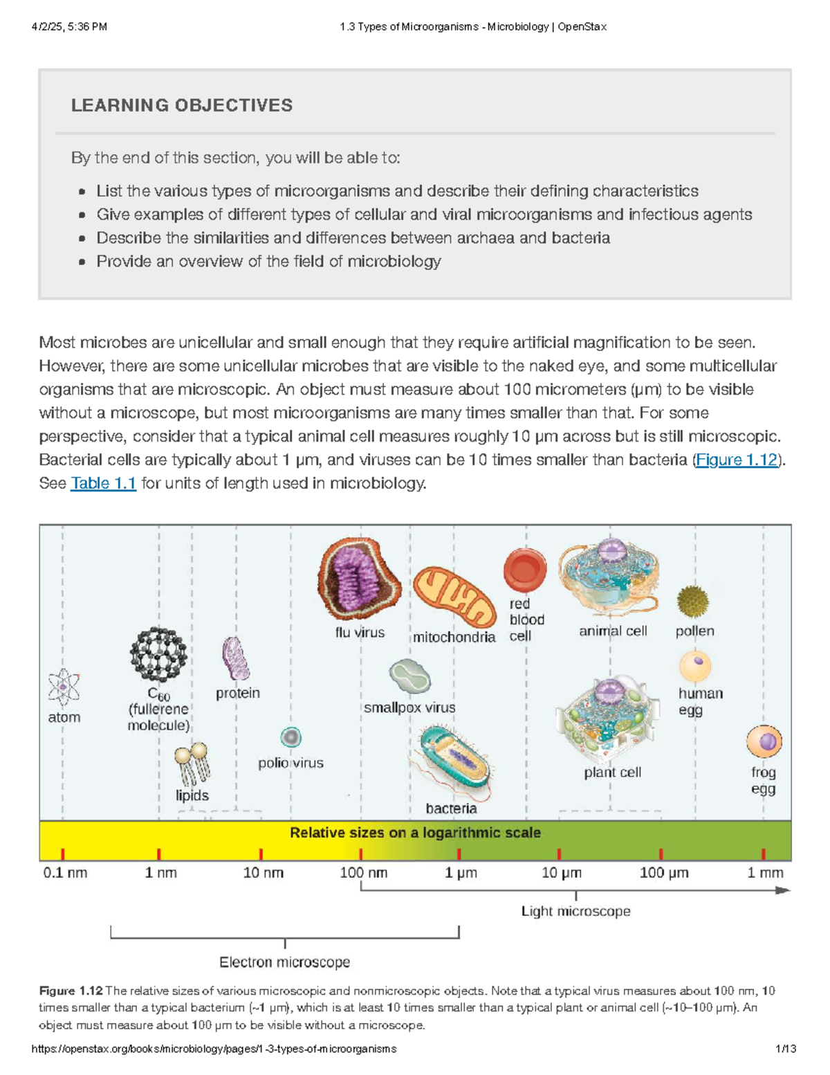 Types Of Microorganisms With Names 5. Disease Transmission | Pocket
