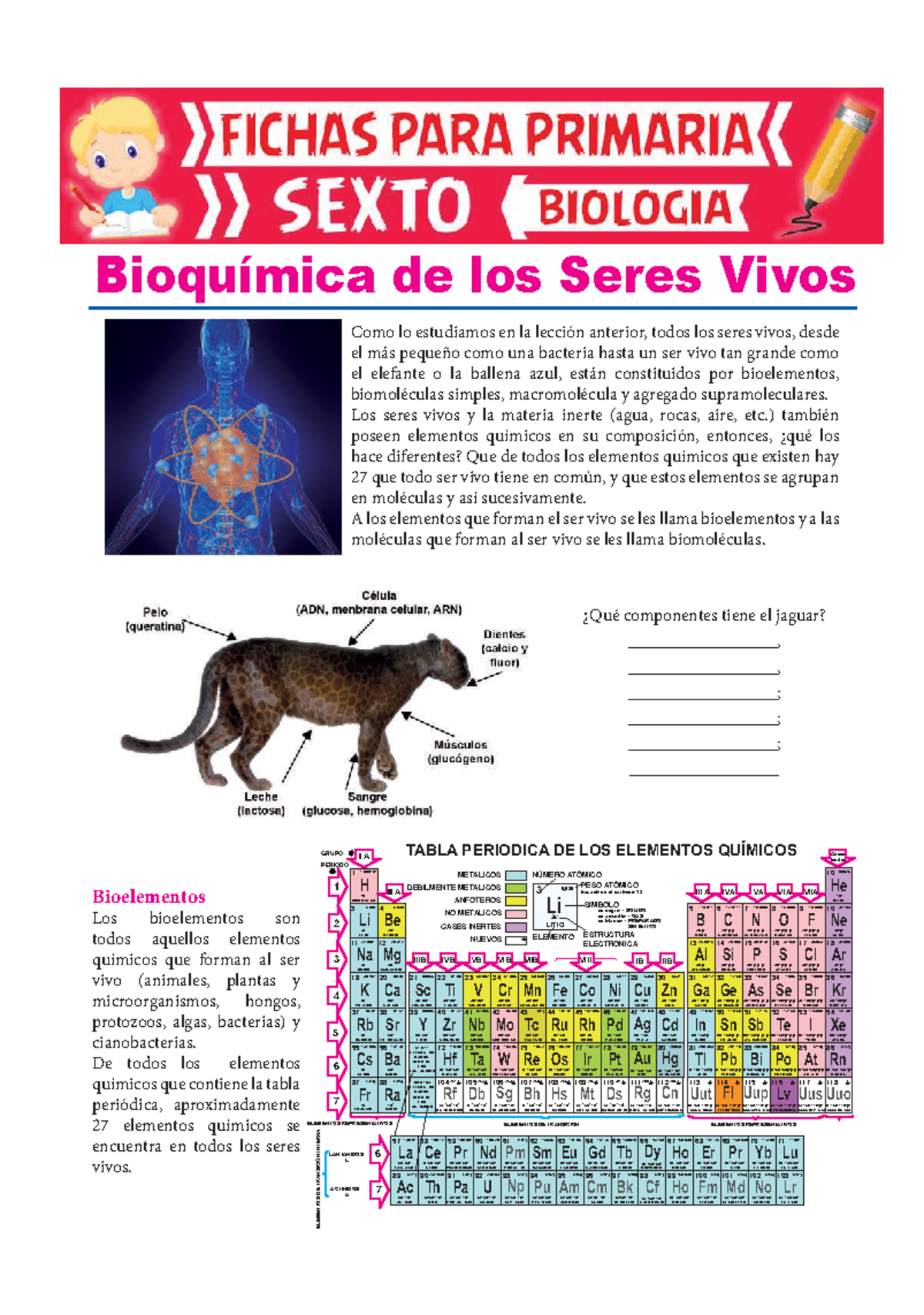 Bioelementos Primarios en los Seres Vivos: Resumen y Clasificación ...
