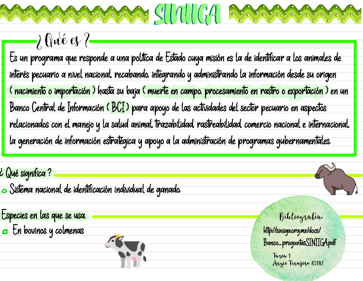 SINIIGA: Sistema Nacional de Identificación Individual de Ganado - Studocu