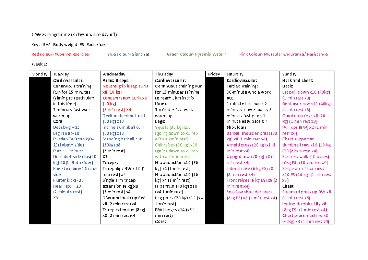 Program Cards level 3 - Program Card 1: Client Name: Safety checks: N/A ...