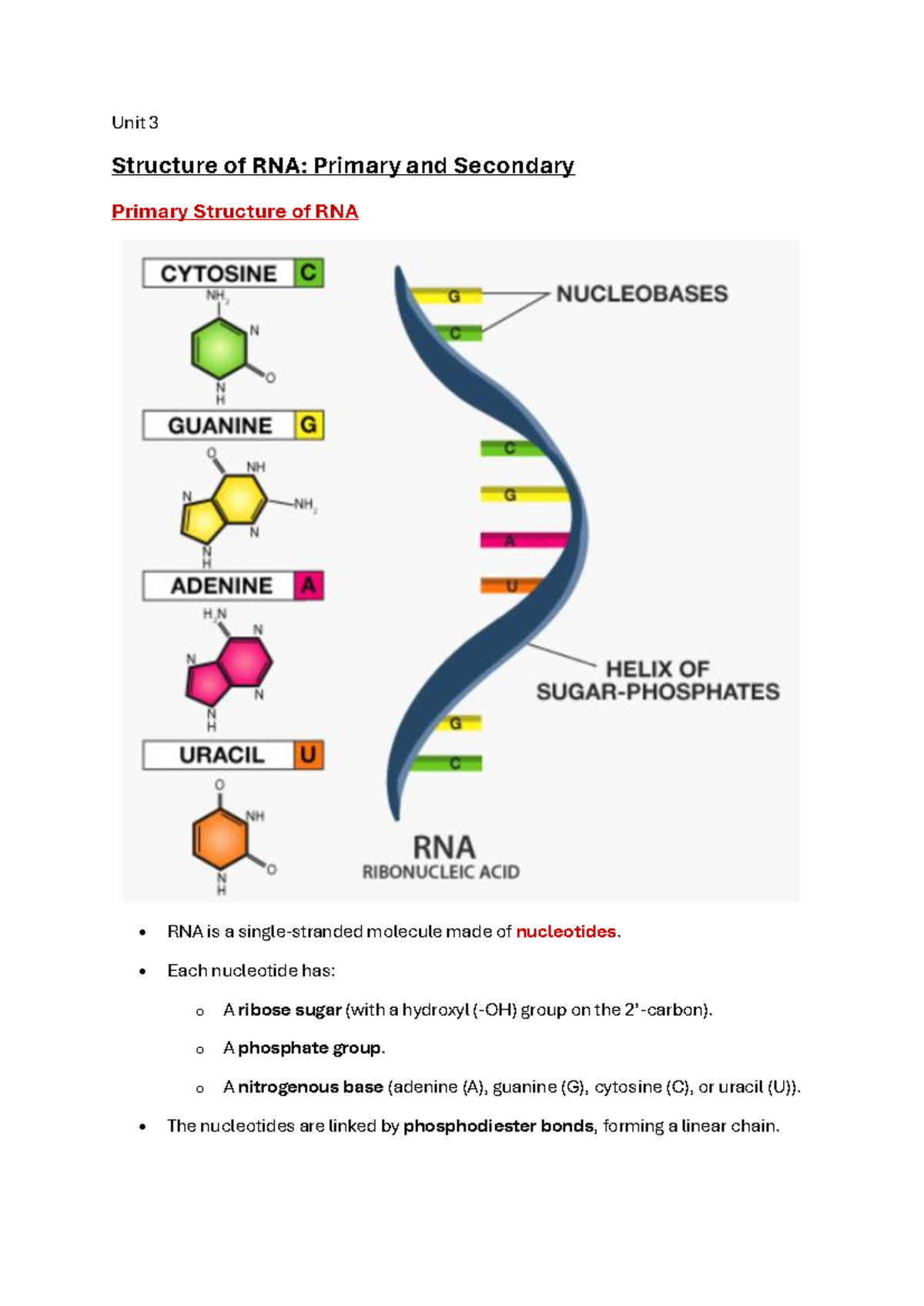 GTS Unit 3 - RNA Structure and Transcription Study Notes - Studocu