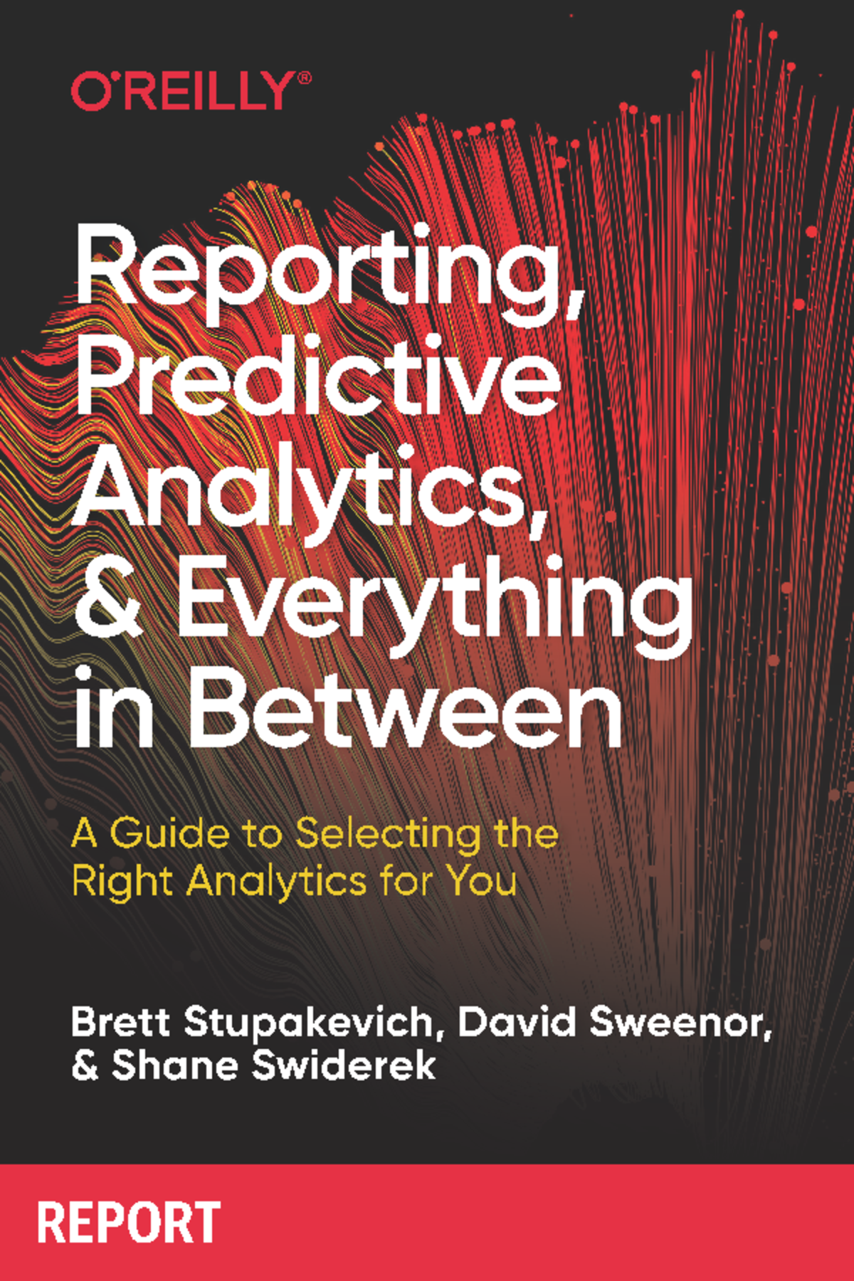 LSI 978-1-098-11493: Reporting & Predictive Analytics Final Insights ...