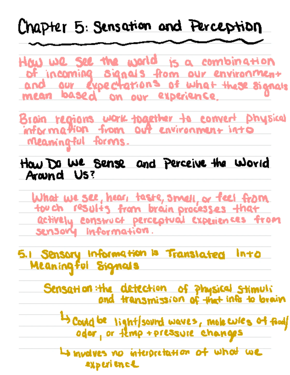 Gen psych 3 study guide - GENERAL PSYCH EXAM 3 Sensation and Perception ...